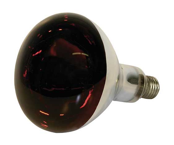 EF Heating Lamp 250W- Red- Break-Proof