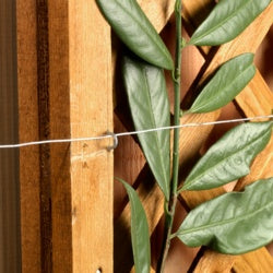 Ambassador Galvanised Wire