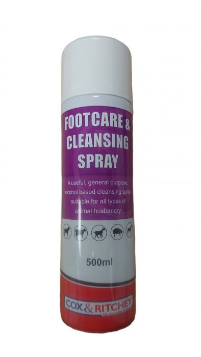 Footcare and Cleansing Spray 500ml