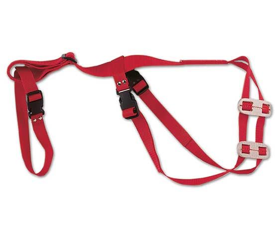 Ewe Truss Red