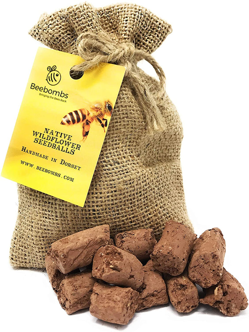 Beebombs – Native Wild Flower Seedballs