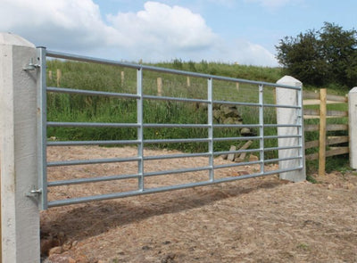 Ashbourne IAE Gate