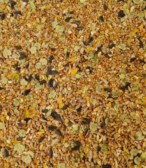 Mixed Corn